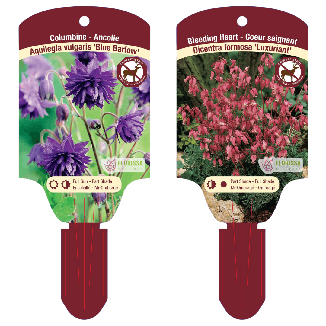 Plant tags