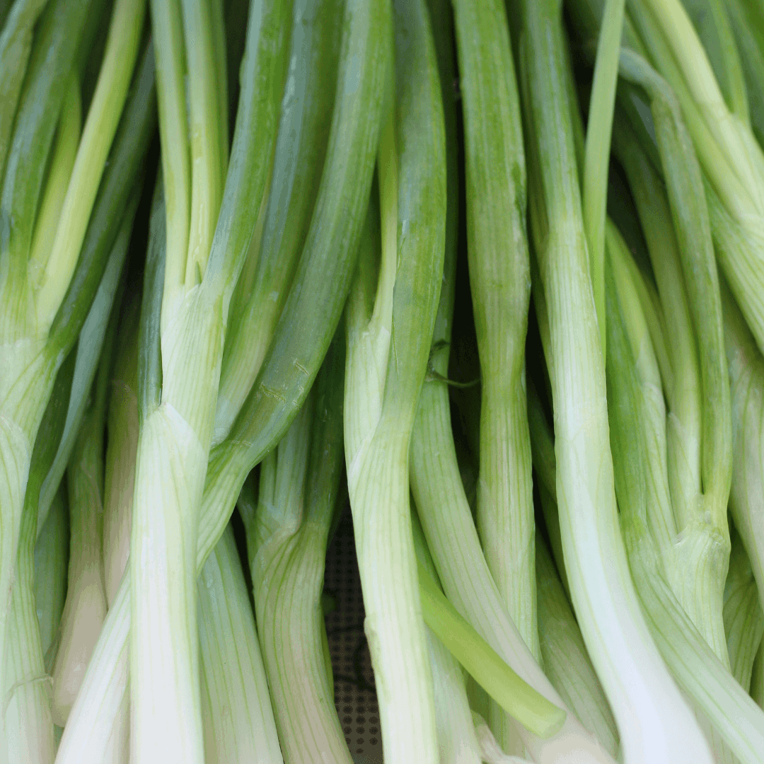 How To Grow Bunching/Spring Onions