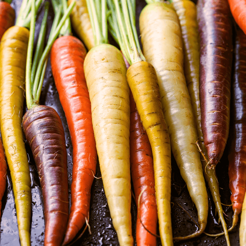 How to Grow Carrots