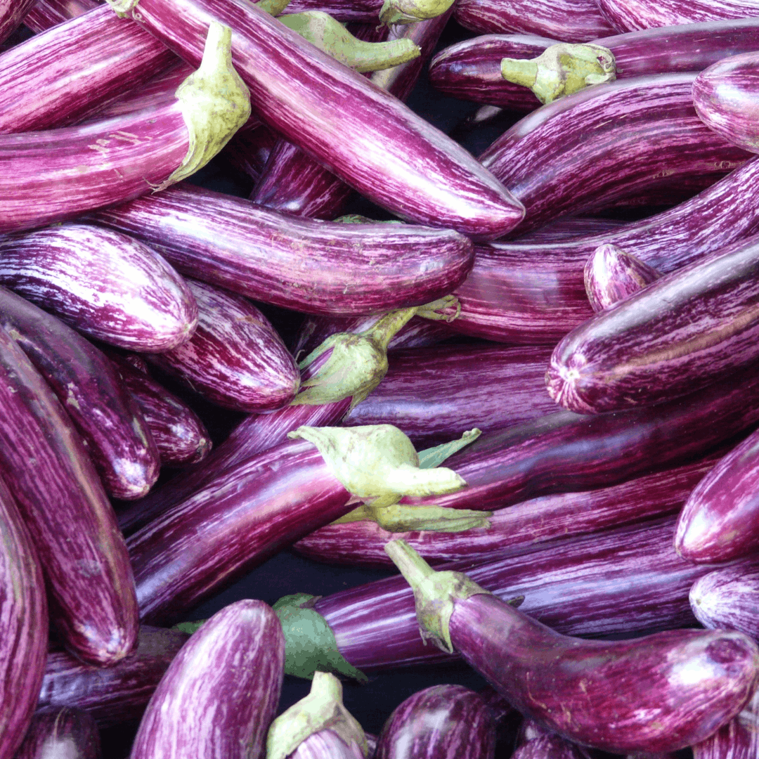 How to Grow Currants