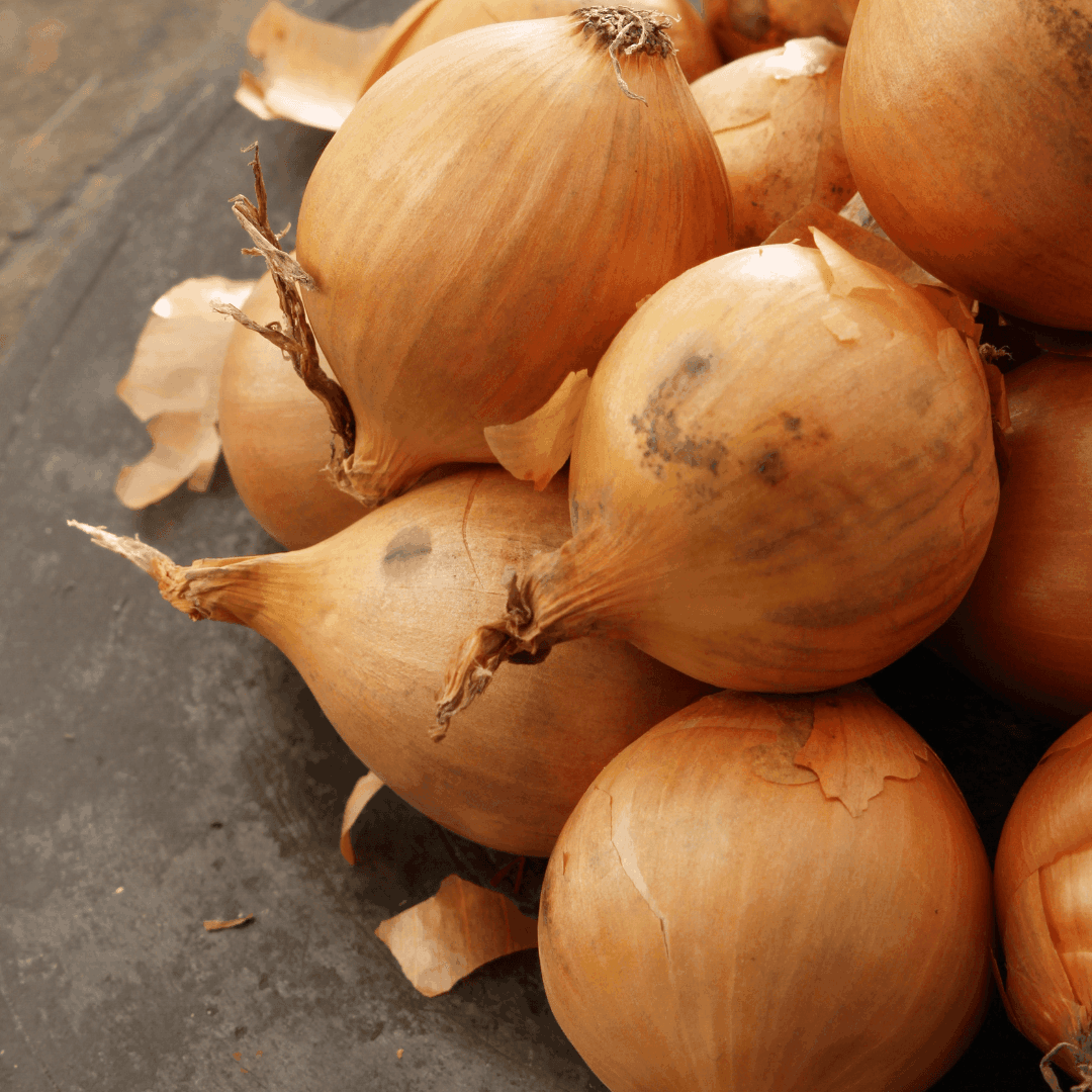 How To Grow Onions
