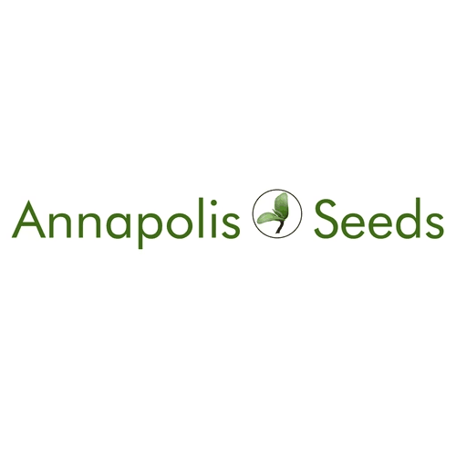 Annapolis Seeds logo on white background