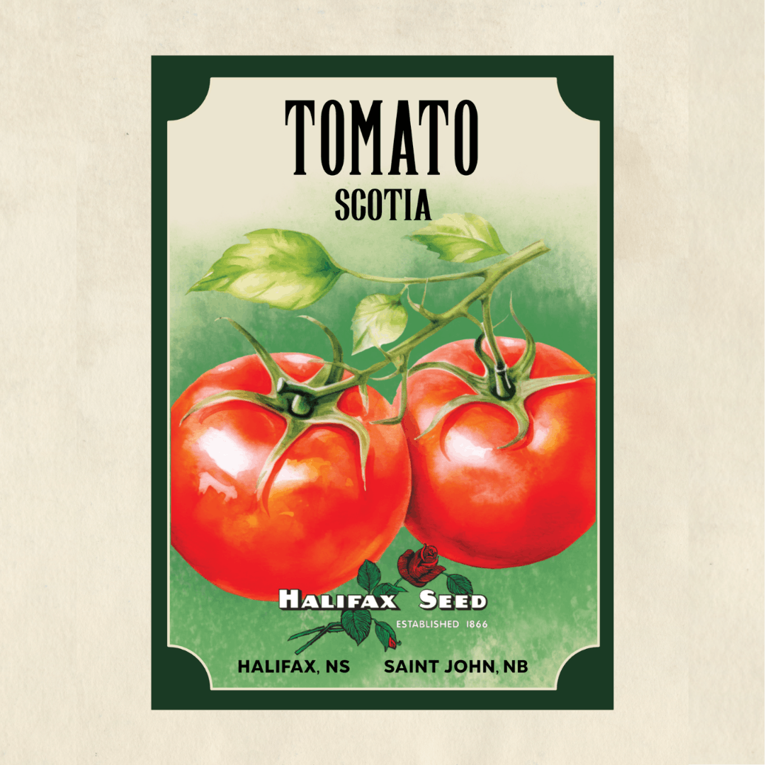 Heritage tomato seed packet