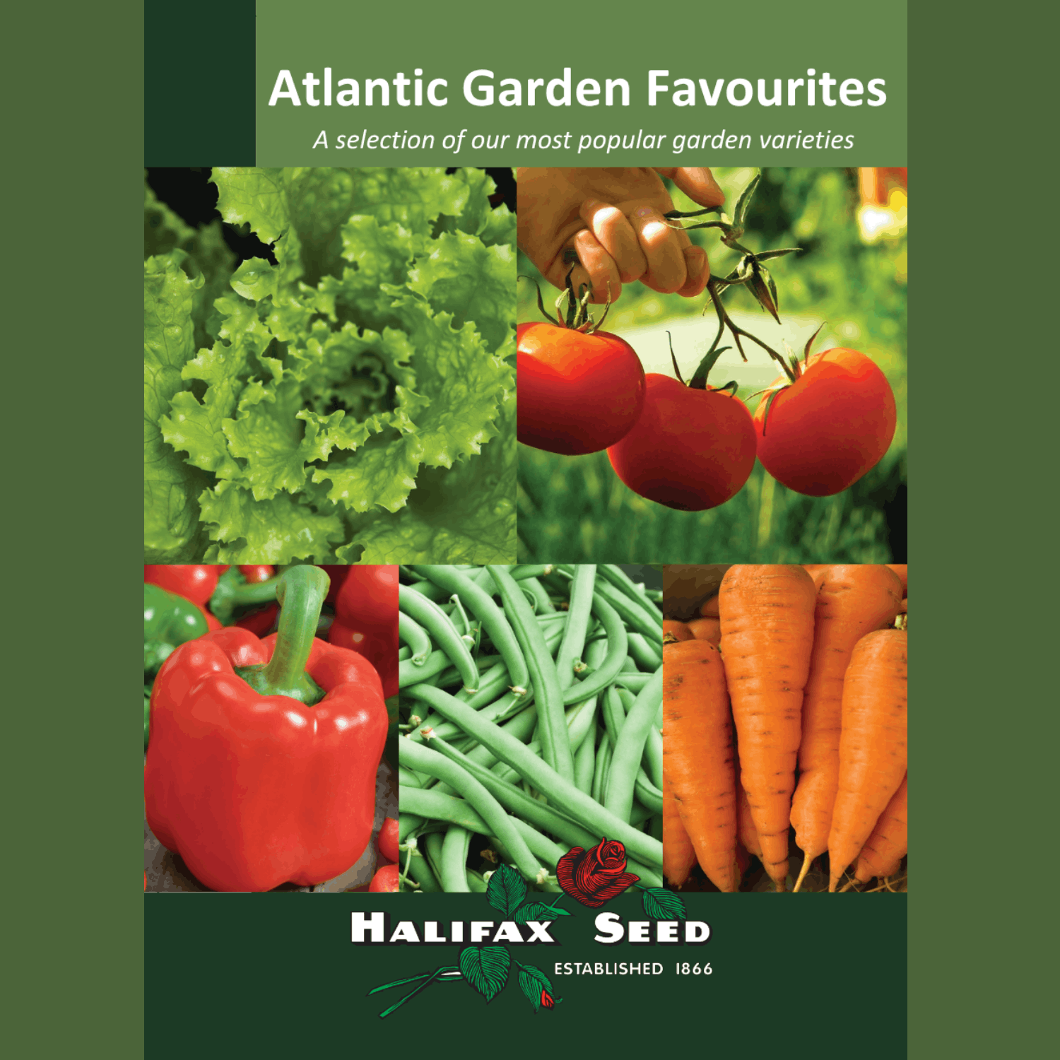 Atlantic Garden Favourites Packet
